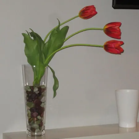 Apartment Le Stanze Di Carlo Syracuse